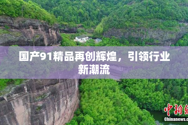 国产91精品再创辉煌，引领行业新潮流