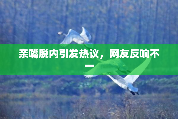 亲嘴脱内引发热议，网友反响不一