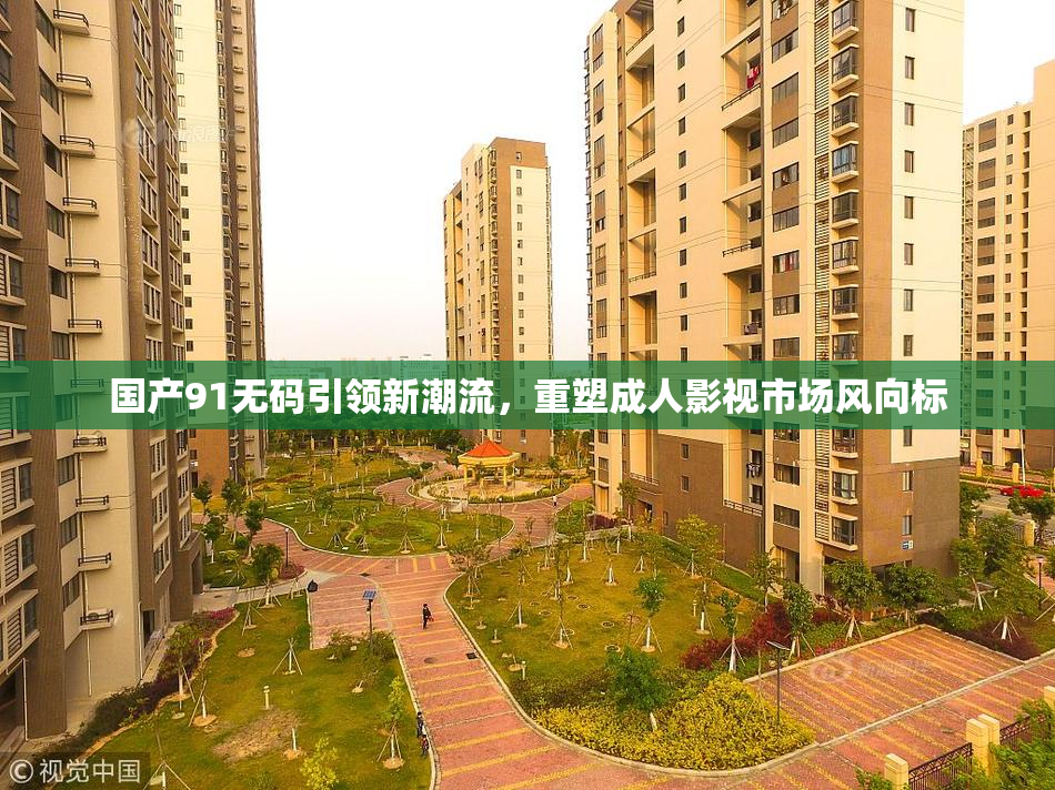 国产91无码引领新潮流，重塑成人影视市场风向标