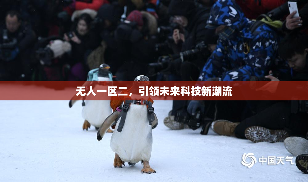 无人一区二，引领未来科技新潮流