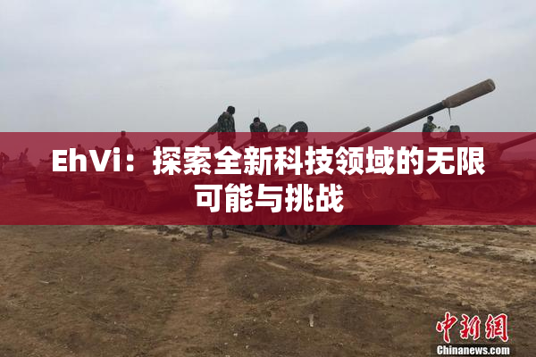 EhVi：探索全新科技领域的无限可能与挑战