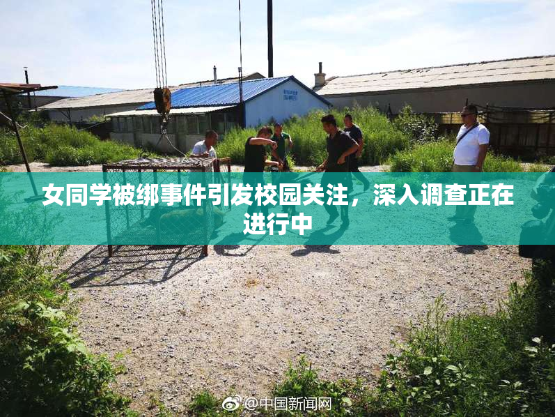 女同学被绑事件引发校园关注，深入调查正在进行中