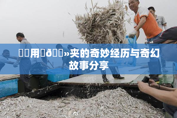 妺妺用‌🐻夹的奇妙经历与奇幻故事分享