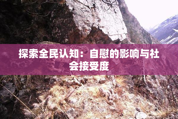 探索全民认知：自慰的影响与社会接受度