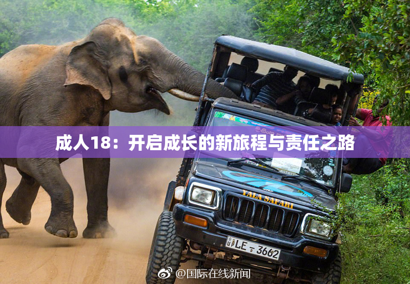 成人18：开启成长的新旅程与责任之路