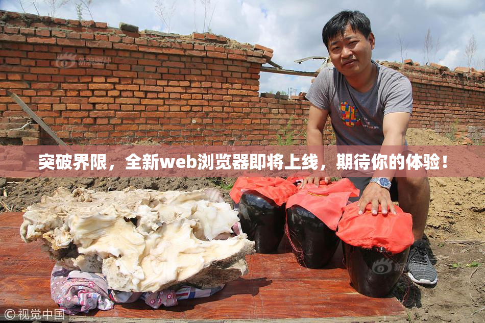 突破界限，全新web浏览器即将上线，期待你的体验！
