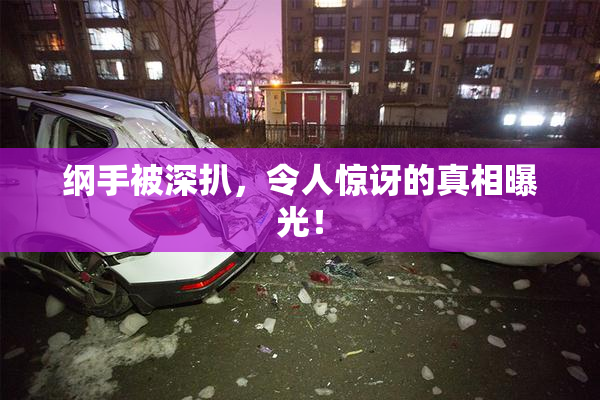 纲手被深扒，令人惊讶的真相曝光！