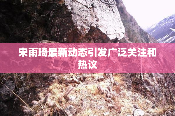 宋雨琦最新动态引发广泛关注和热议