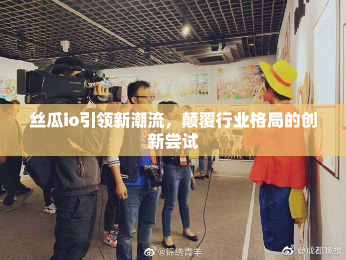 丝瓜io引领新潮流，颠覆行业格局的创新尝试