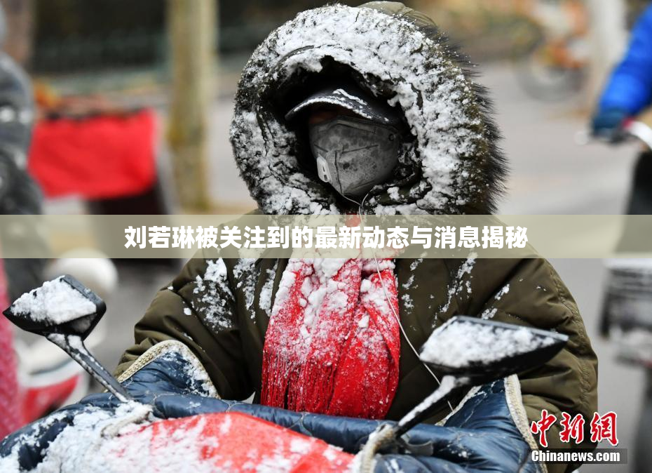 刘若琳被关注到的最新动态与消息揭秘