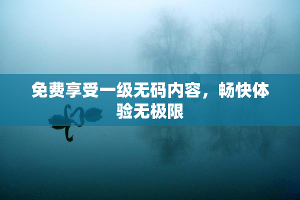 免费享受一级无码内容，畅快体验无极限