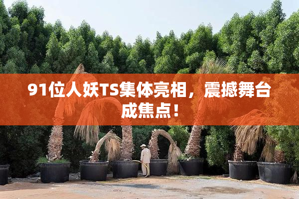 91位人妖TS集体亮相，震撼舞台成焦点！