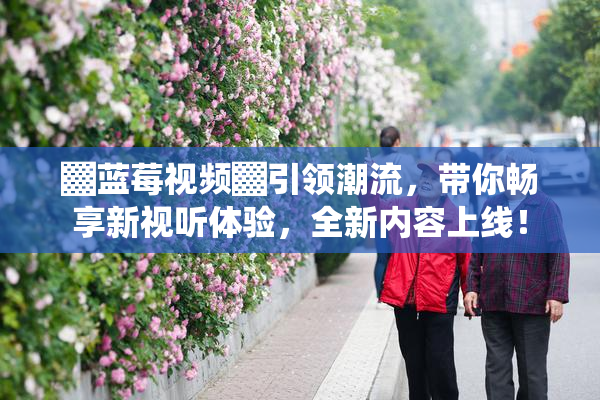 ▓蓝莓视频▓引领潮流，带你畅享新视听体验，全新内容上线！