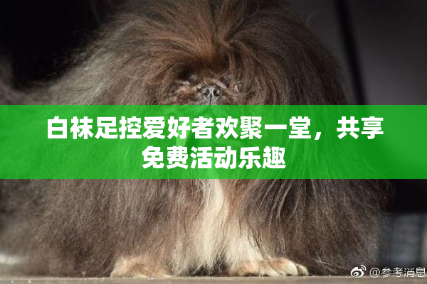 白袜足控爱好者欢聚一堂，共享免费活动乐趣