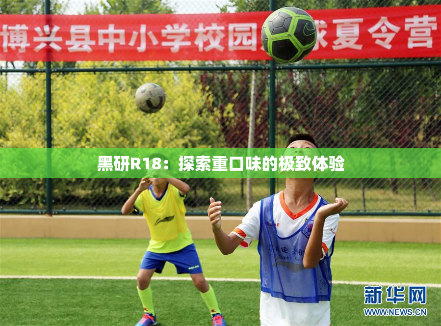 黑研R18：探索重口味的极致体验