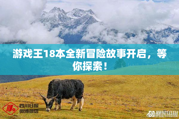 游戏王18本全新冒险故事开启，等你探索！