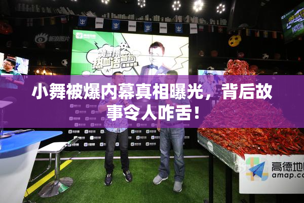 小舞被爆内幕真相曝光，背后故事令人咋舌！