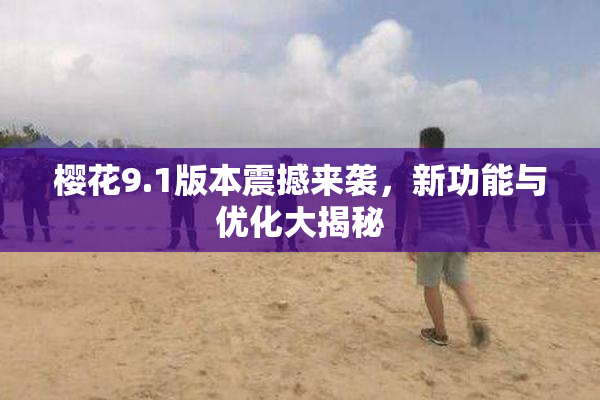 樱花9.1版本震撼来袭，新功能与优化大揭秘