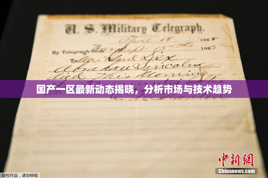 国产一区最新动态揭晓，分析市场与技术趋势