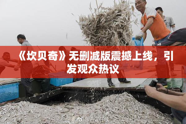 《坎贝奇》无删减版震撼上线，引发观众热议