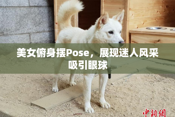 美女俯身摆Pose，展现迷人风采吸引眼球