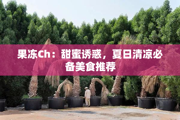 果冻Ch：甜蜜诱惑，夏日清凉必备美食推荐