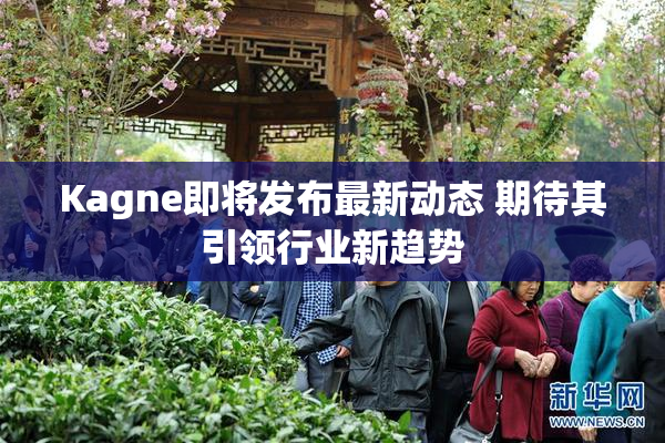 Kagne即将发布最新动态 期待其引领行业新趋势
