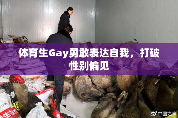 体育生Gay勇敢表达自我，打破性别偏见