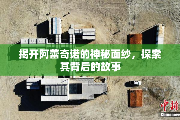 揭开阿蕾奇诺的神秘面纱，探索其背后的故事