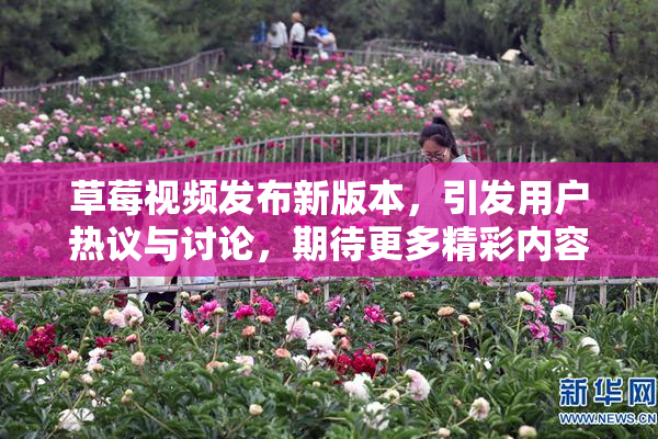 草莓视频发布新版本，引发用户热议与讨论，期待更多精彩内容！