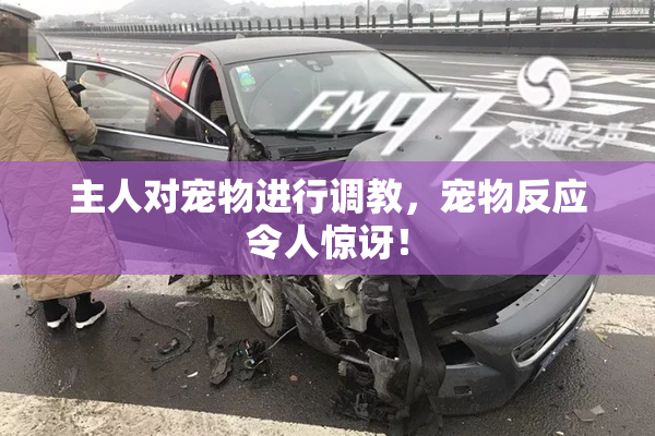 主人对宠物进行调教，宠物反应令人惊讶！
