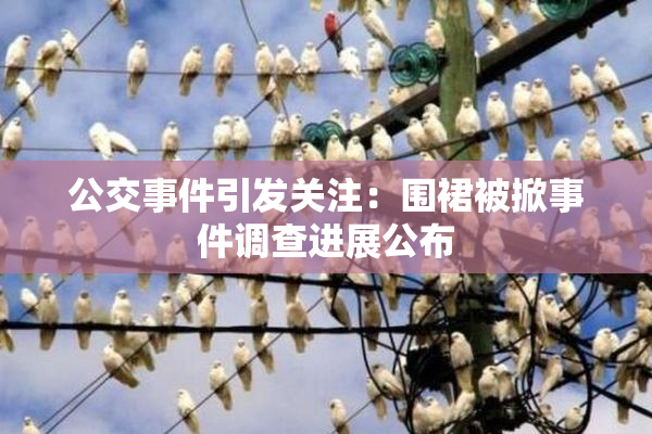 公交事件引发关注：围裙被掀事件调查进展公布