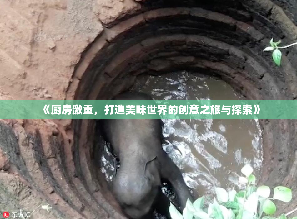 《厨房激重，打造美味世界的创意之旅与探索》