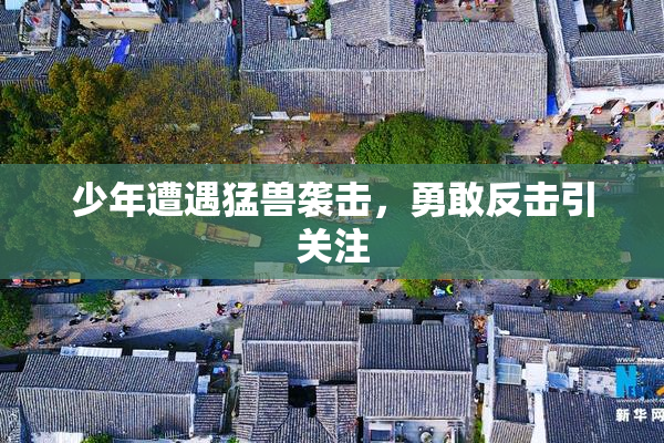 少年遭遇猛兽袭击，勇敢反击引关注