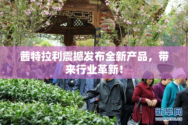 茜特拉利震撼发布全新产品，带来行业革新！