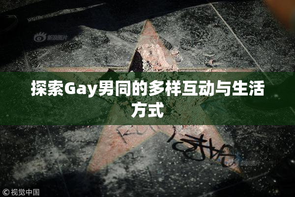 探索Gay男同的多样互动与生活方式