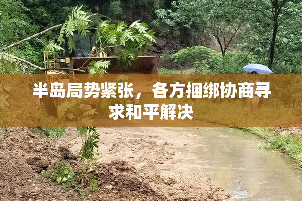 半岛局势紧张，各方捆绑协商寻求和平解决