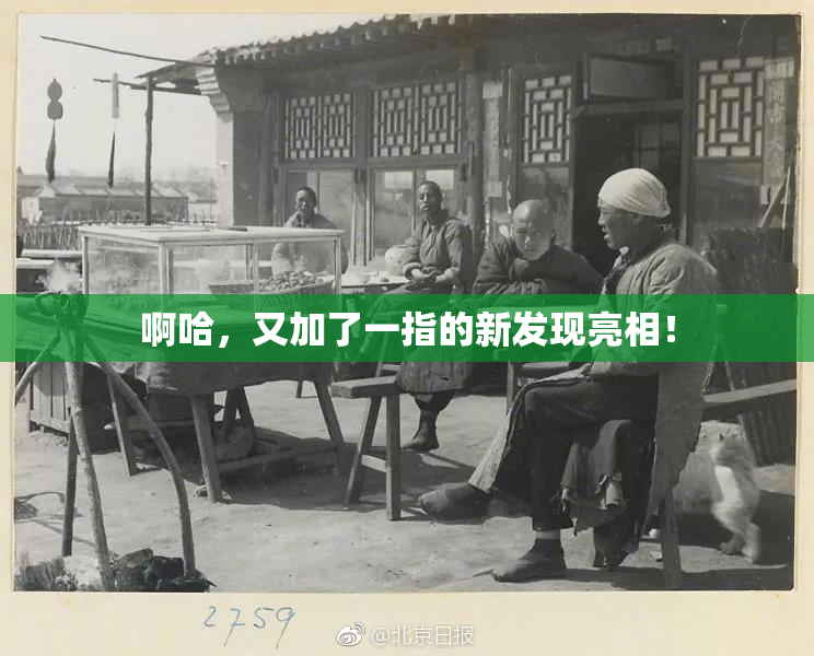 啊哈，又加了一指的新发现亮相！