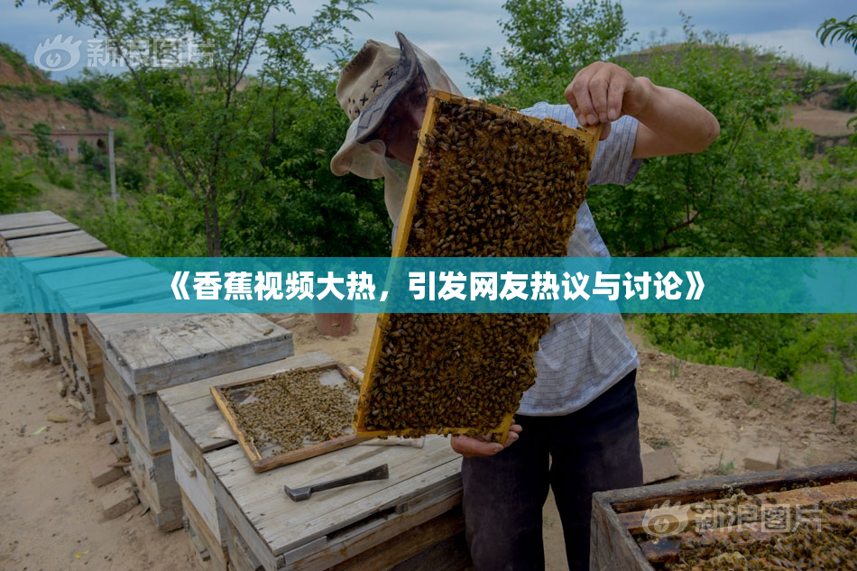 《香蕉视频大热，引发网友热议与讨论》