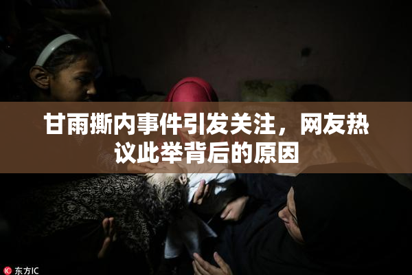 甘雨撕内事件引发关注，网友热议此举背后的原因