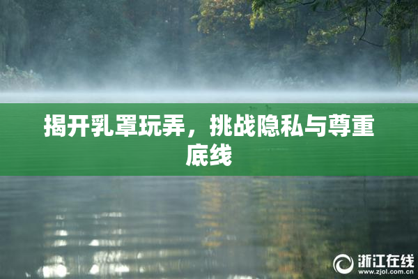 揭开乳罩玩弄，挑战隐私与尊重底线