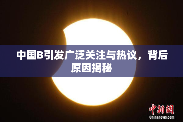 中国B引发广泛关注与热议，背后原因揭秘