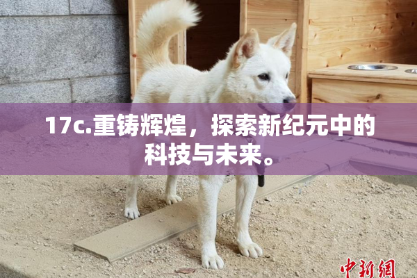 17c.重铸辉煌，探索新纪元中的科技与未来。