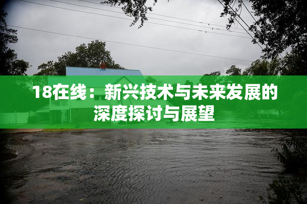 18在线：新兴技术与未来发展的深度探讨与展望