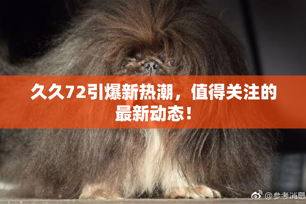 久久72引爆新热潮，值得关注的最新动态！