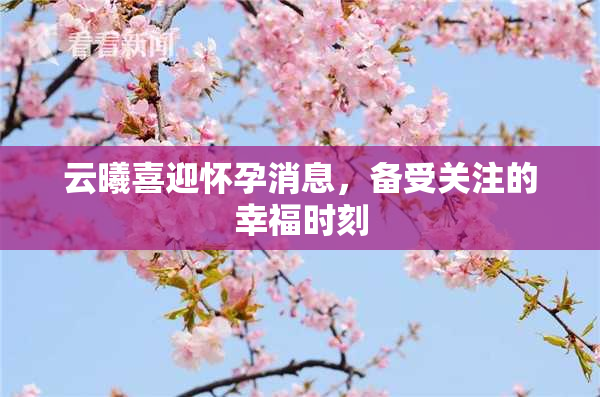云曦喜迎怀孕消息，备受关注的幸福时刻