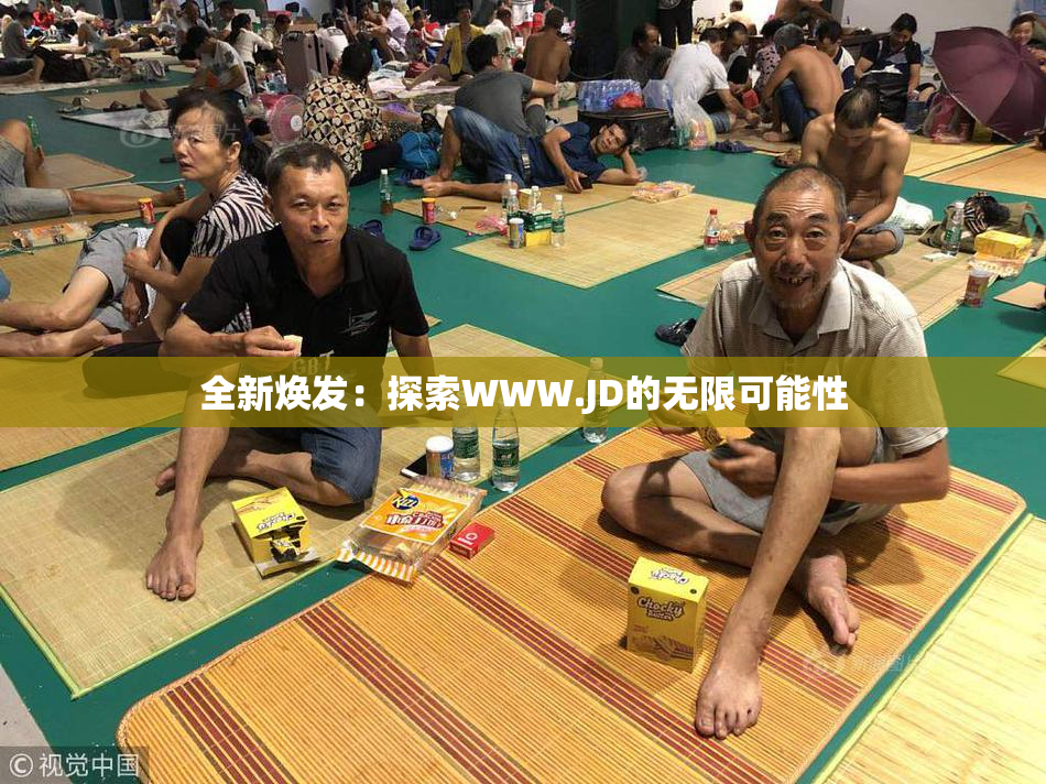 全新焕发：探索WWW.JD的无限可能性