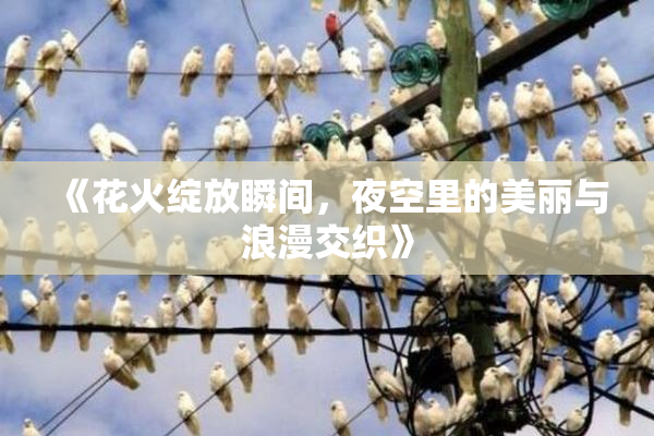 《花火绽放瞬间，夜空里的美丽与浪漫交织》