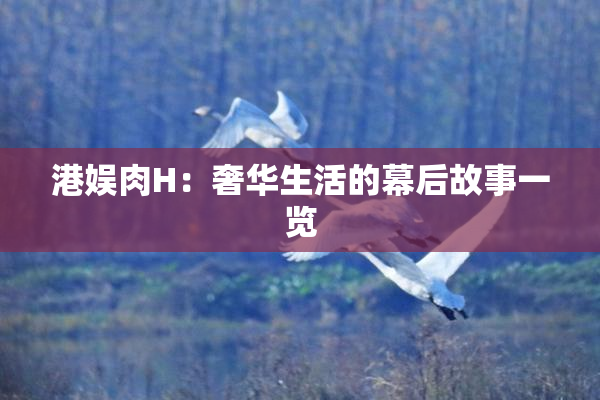 港娱肉H：奢华生活的幕后故事一览