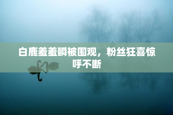 白鹿羞羞瞬被围观，粉丝狂喜惊呼不断